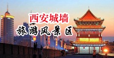 骚妇掰鲍图片中国陕西-西安城墙旅游风景区