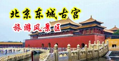 美女操出水在床上喷水av中国北京-东城古宫旅游风景区